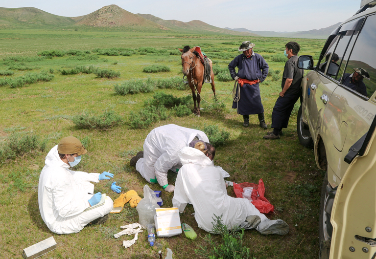 students doing field research in mongolia