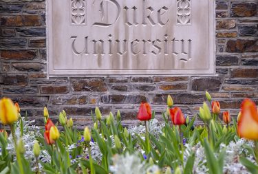 Duke University sign with tulips