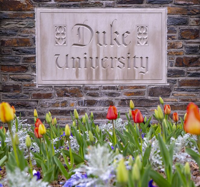 Duke University sign with tulips